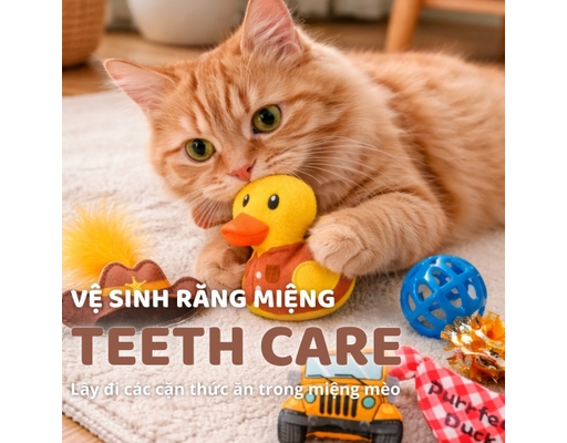 Bộ Đồ Chơi Vịt Cao Bồi 6 Món FOFOS ảnh 3