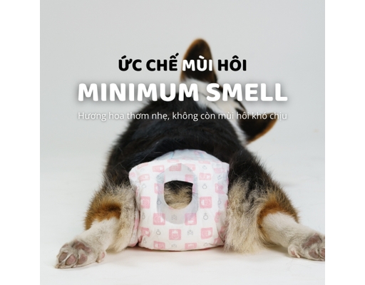 Tã Lót Cho Chó Giống Đực Size S 12 Miếng FOFOS ảnh 5