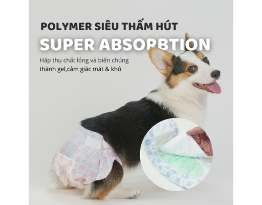 Tã Lót Cho Chó Giống Đực Size L 8 Miếng FOFOS ảnh 3