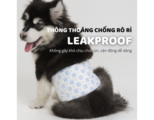 Tã Lót Cho Chó Giống Đực Size L 8 Miếng FOFOS ảnh 4