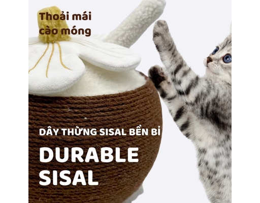 Trụ Cào Móng Hình Trái Dừa 28.5cmx25cm FOFOS ảnh 2