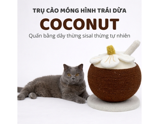 Trụ Cào Móng Hình Trái Dừa 28.5cmx25cm FOFOS ảnh 3