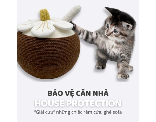 Trụ Cào Móng Hình Trái Dừa 28.5cmx25cm FOFOS ảnh 4