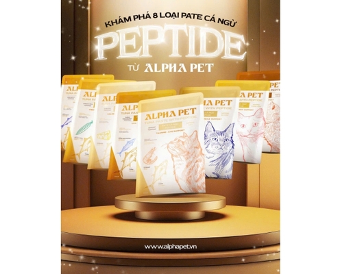 Pate Cho Mèo Topping Tôm 60g Alpha Pet ảnh 2