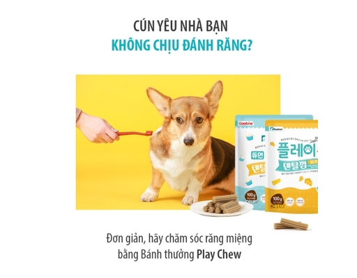 Bánh Thưởng Sạch Răng Cho Chó Vị Phô Mai Snack Dental Gum Cheese 100g Dhuman ảnh 1