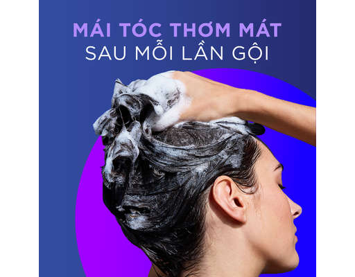 Dầu Gội Cho Tình Trạng Gàu Dai Dẳng Và Da Đầu Dầu 400ml Head & Shoulders ảnh 8