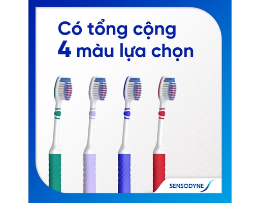 Bàn Chải Đánh Răng Sensitivity & Gum 1 Cây Sensodyne ảnh 3