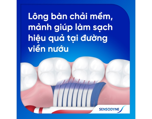 Bàn Chải Đánh Răng Sensitivity & Gum 1 Cây Sensodyne ảnh 4