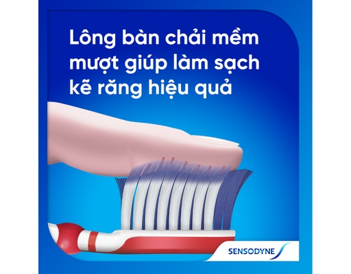 Bàn Chải Đánh Răng Sensitivity & Gum 1 Cây Sensodyne ảnh 5