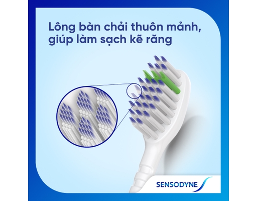 Bàn Chải Đánh Răng Deep Clean Soft 3 Cây Sensodyne ảnh 2