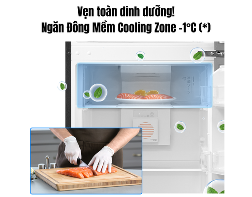 [Đặt Trước] Tủ Lạnh Inverter NaturePURE 240L GR-RT310WE-PMV(68) Toshiba ảnh 8