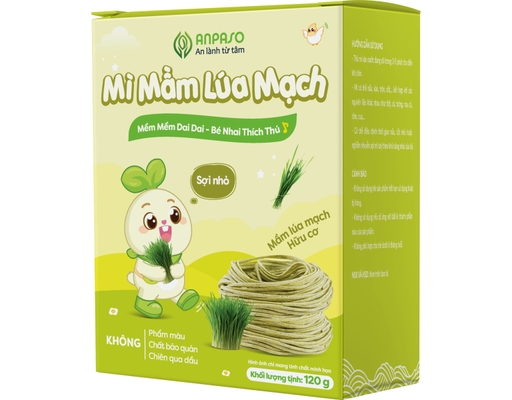 Mì Ăn Dặm Organic Vị Mầm Lúa Mạch 120g Anpaso ảnh 1