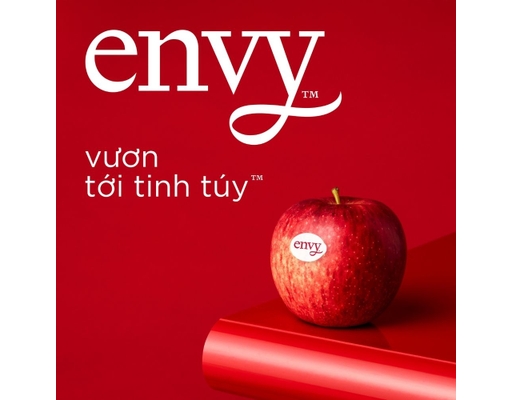 Táo Envy New Zealand Hộp 3 Trái 850g AVN ảnh 2