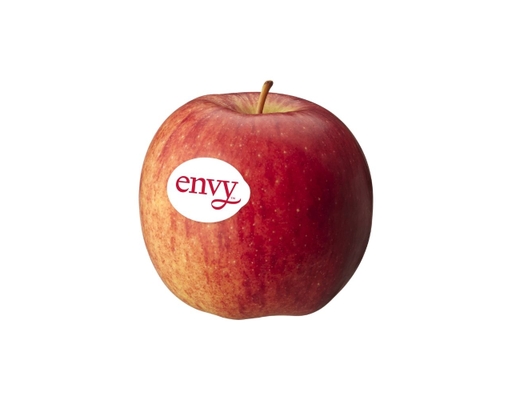 Táo Envy New Zealand 1kg AVN ảnh 1
