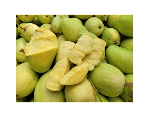 Xoài Tứ Quý 1.3Kg AVN ảnh 1