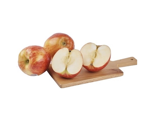 t-o-envy-new-zealand-size-24-35-1kg