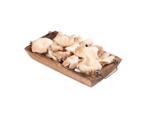 Nấm Bào Ngư Xám 200g Sông Xanh ảnh 0