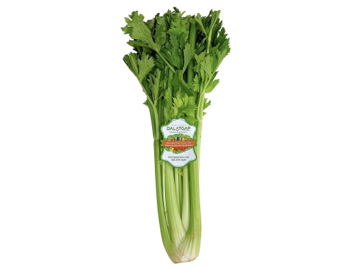 Cần Tây Thủy Canh 400g Dalatgap ảnh 0
