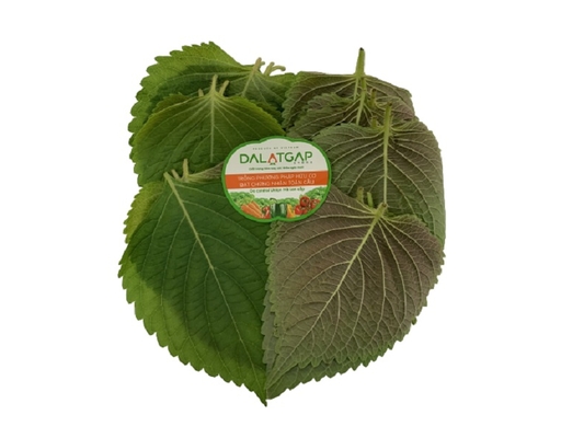 Lá Mè 50g Dalatgap ảnh 0