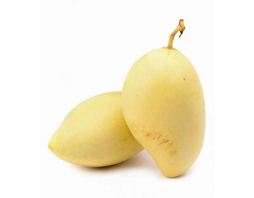 Xoài Chu Vàng 1.3kg AVN ảnh 2