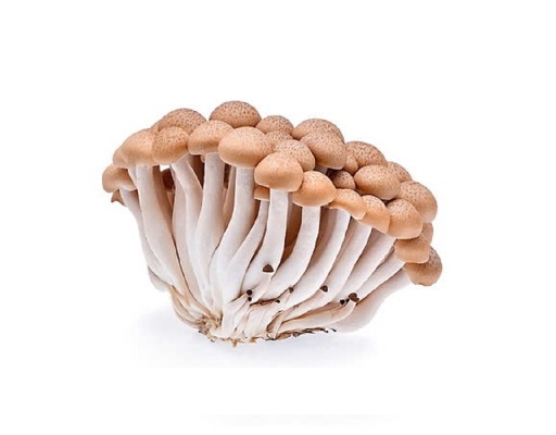Nấm Thủy Tiên (Linh Chi) Nâu 125g Biovegi Việt Nam ảnh 1