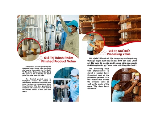 Nước Mắm Phú Quốc 40N 520ml Thanh Quốc ảnh 2