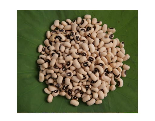 Đậu Trắng Bi 450g Phú Minh Tâm ảnh 1
