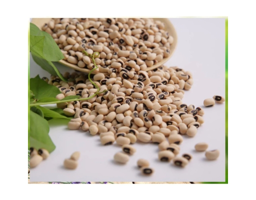 Đậu Trắng Bi 450g Phú Minh Tâm ảnh 2