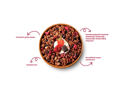 Ngũ Cốc Granola Dark Chocolate 220g Kellogg's ảnh 2