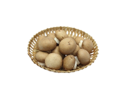Nấm Mỡ Nâu 200g Yoshimoto ảnh 1