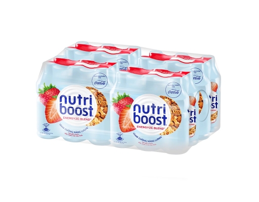 Thùng 24 Chai Nước Trái Cây Sữa Dau 297ml Nutriboost ảnh 0