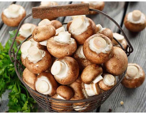 Nấm Mỡ Nâu 150g Yoshimoto ảnh 3