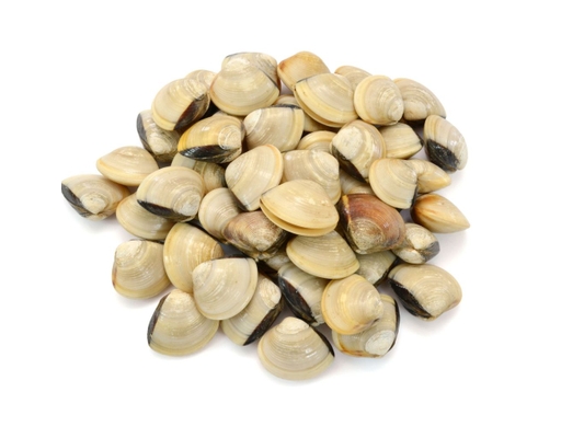 Nghêu Sạch 600g Lenger ảnh 1