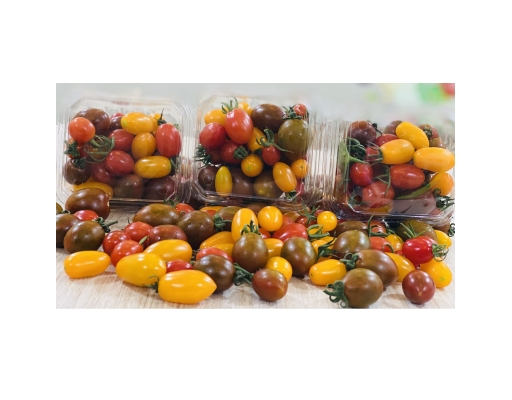 Cà Chua Bi Mix 300g Dalatgap ảnh 3