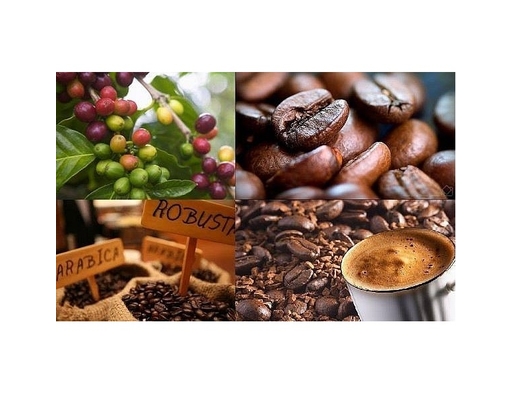 Cafe Rang Xay Truyền Thống 1kg Highlands Coffees ảnh 2