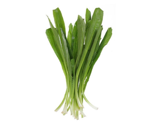 Ngò Gai 50g AVN ảnh 1