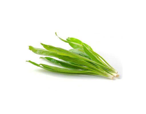 Ngò Gai 50g AVN ảnh 2