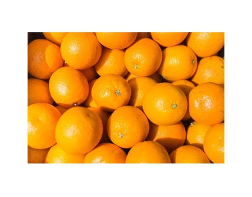 Cam Navel Úc 1kg AVN ảnh 2