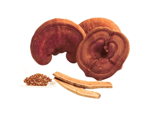 Nấm Linh Chi Khô 100g Trâm Anh ảnh 1