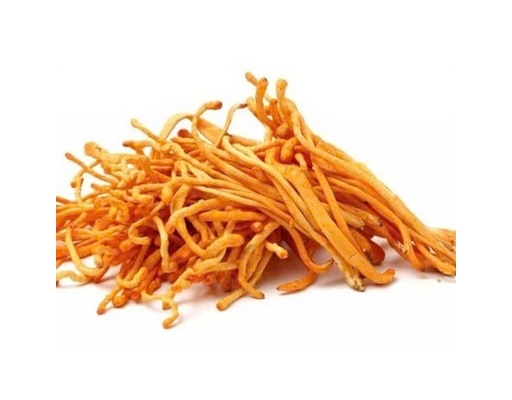 Đông Trùng Hạ Thảo Khô 25g Trâm Anh ảnh 1