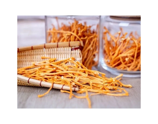 Đông Trùng Hạ Thảo Khô 25g Trâm Anh ảnh 2