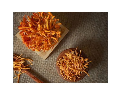 Đông Trùng Hạ Thảo Khô 25g Trâm Anh ảnh 3