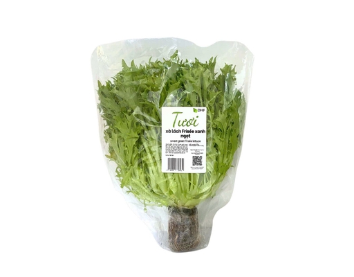 Xà Lách Frisee Xanh Ngọt 220g DHF ảnh 0