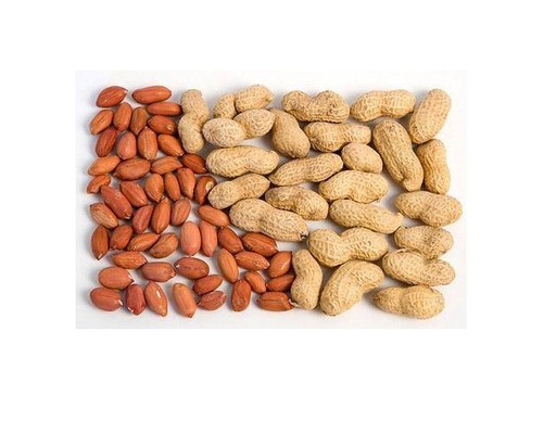 Hạt Lạc Sen 400g Thực Phẩm Lý Tưởng ảnh 2