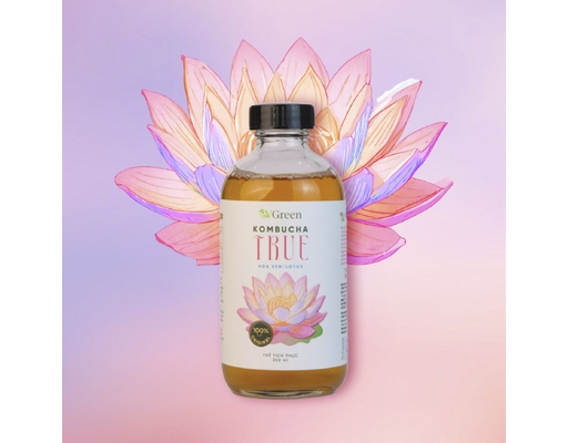 Trà Kombucha True Hoa Sen 330ml Vgreen ảnh 1