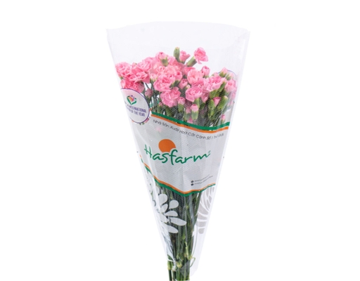 Hoa Cẩm Chướng Nhánh 300g Dalat Hasfarm ảnh 0