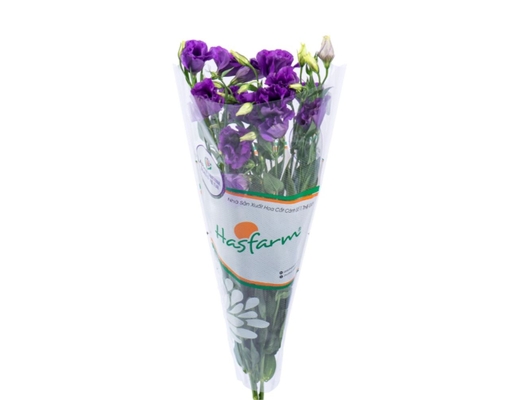 Kiết Tường Dalat Hasfarm ảnh 0
