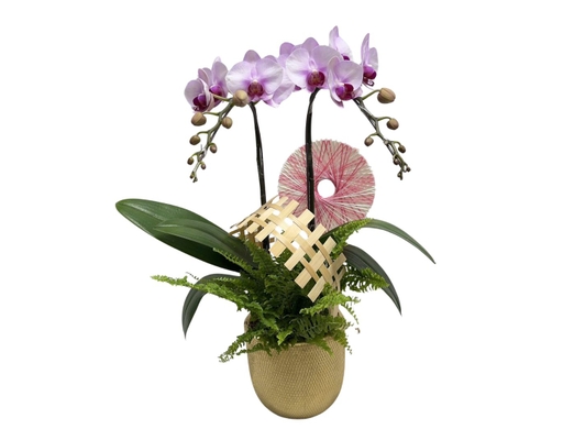 [Hàng Đặt Trước] Bó Hoa Bouquet 380 (Giao Mẫu Ngẫu Nhiên) Dalat Hasfarm ảnh 0