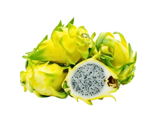 Thanh Long Vàng 1.3kg AVN ảnh 0