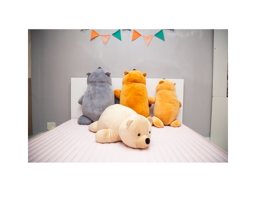 Gối Ôm Hình Gấu Polar M Tân Quang Lập ảnh 1